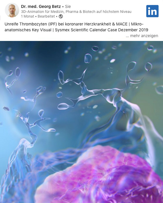 Formation of platelets in the bone marrow