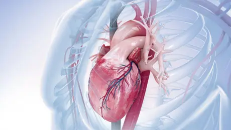Herzchirurgie Herzchirurgie