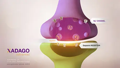Xadago Xadago